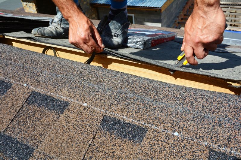 Roof Shingles Repair